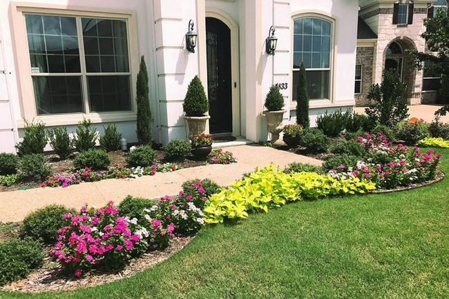 Perennials With Potted Topiary Trees