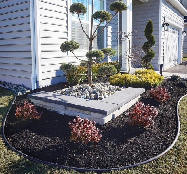 Red Barberry Black Mulch White Home