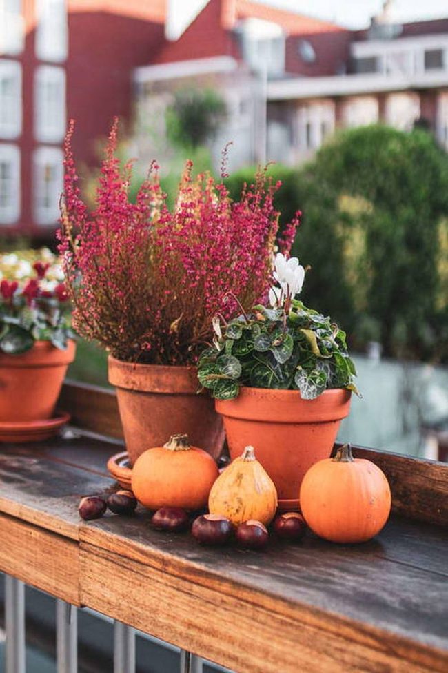Orange And White Pumpkin Tower