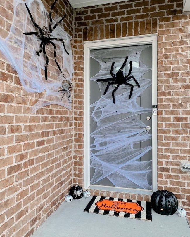 White Net Spider Web Entry