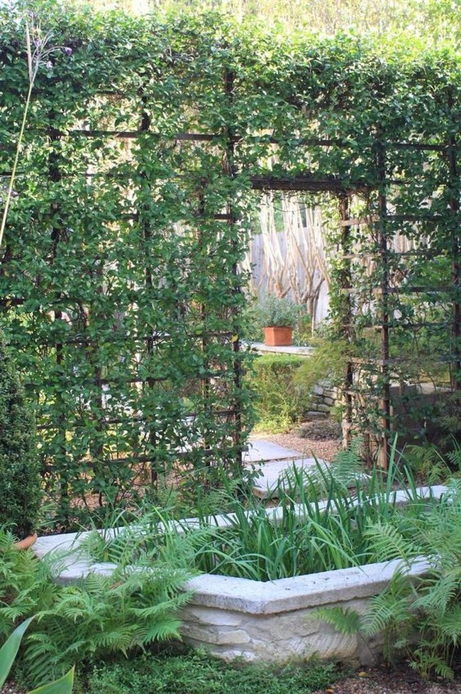 Wooden Vines Natural Garden Archway