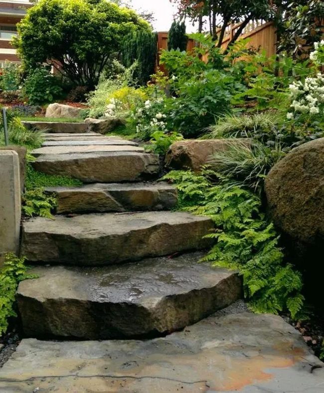 Stone Steps Through Dense Forest