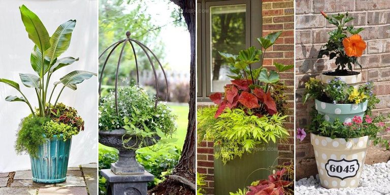 2333431 Container Gardening Ideas