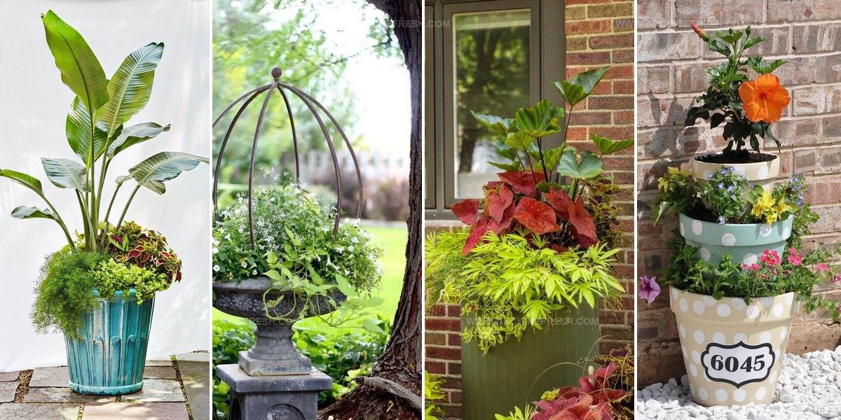 2333431 Container Gardening Ideas