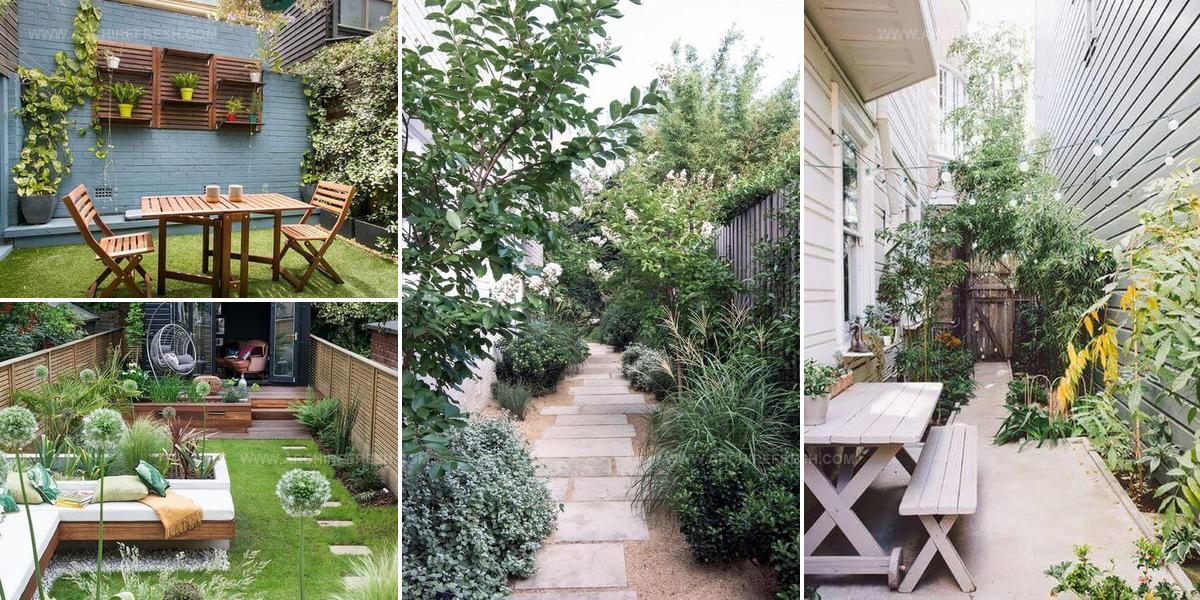7036665 Narrow Long Garden Landscaping Ideas