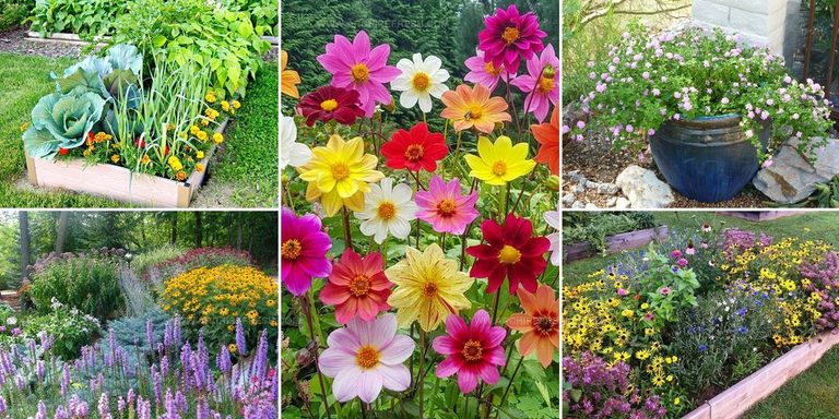 3023857 Bee Garden Ideas