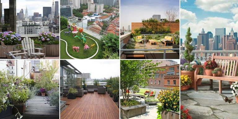 6619748 Terrace Garden Images