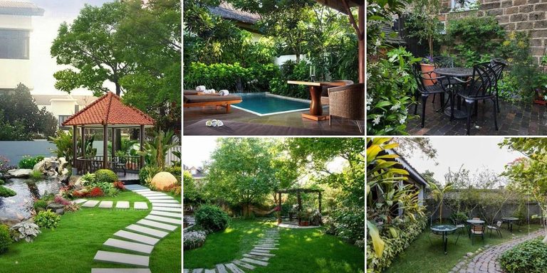 6564805 Courtyard Garden Picture Ideas