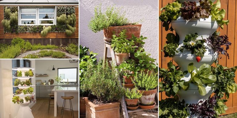 2552036 Vertical Gardening Ideas