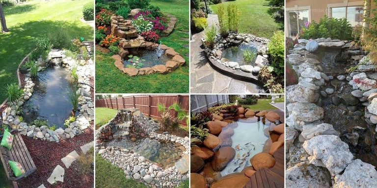 8245684 Water Garden Ideas