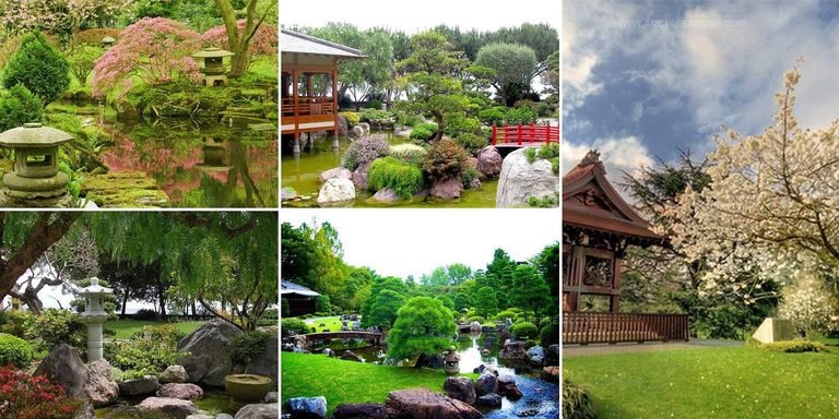 8466713 Japanese Garden Landscape Ideas