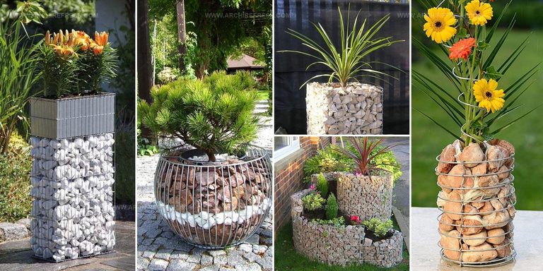 9753952 Gabion Planter Ideas