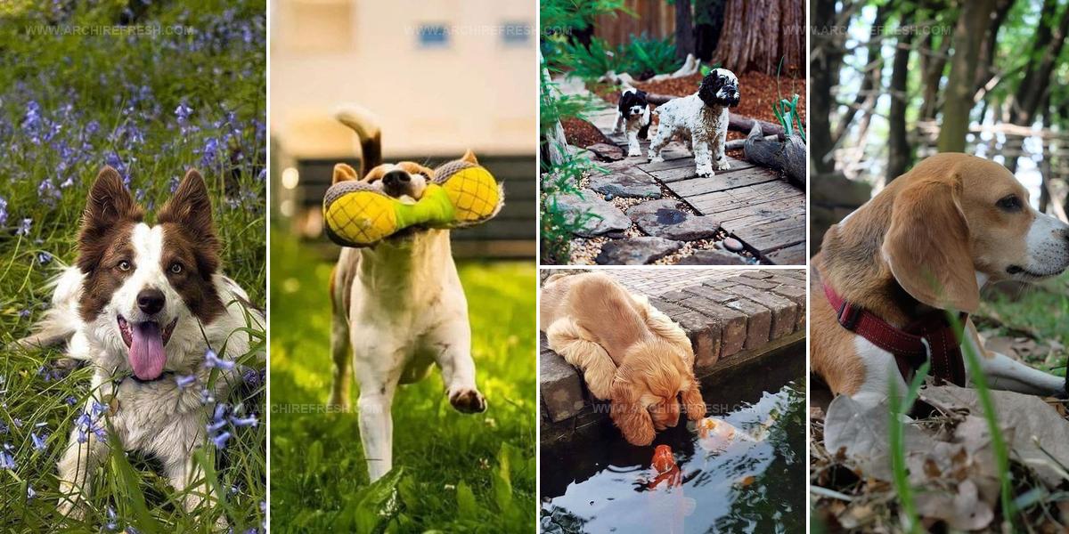 4718167 Dog Friendly Garden Design Ideas