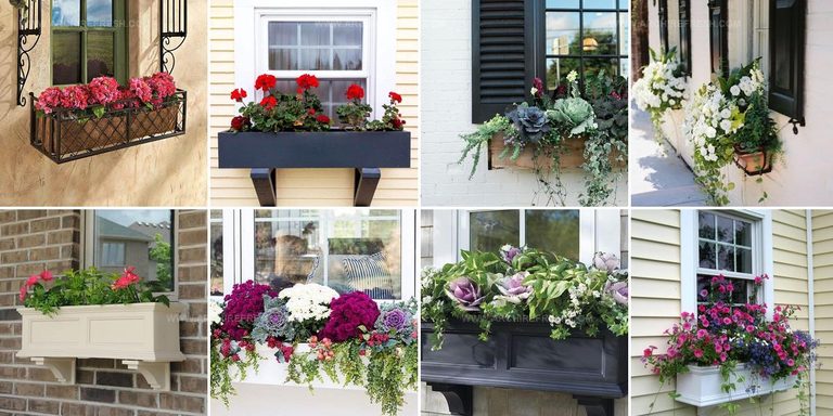 4745093 Window Box Planter Ideas