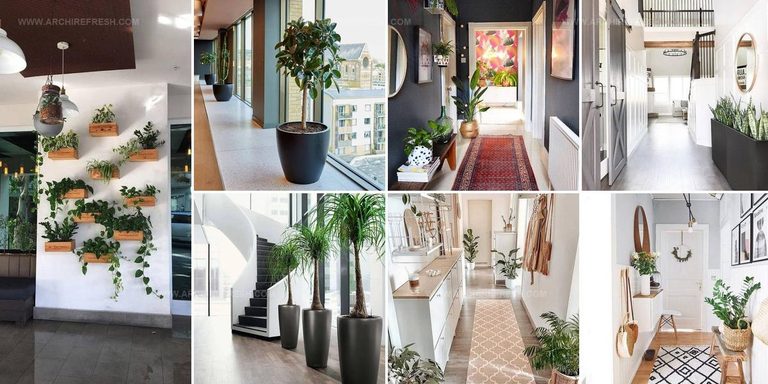8810637 Corridor Plant Decoration Ideas