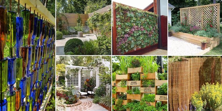 4901577 Garden Screen Ideas