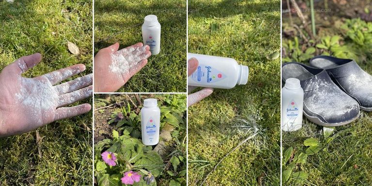 5087943 Baby Powder Garden Hacks
