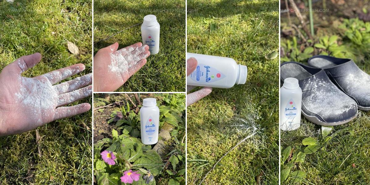 5087943 Baby Powder Garden Hacks