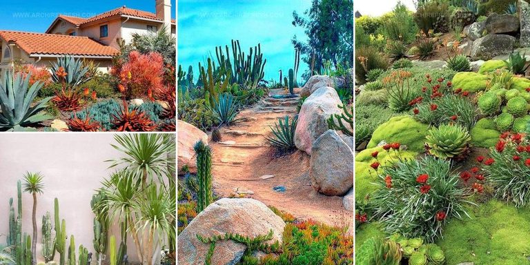 3585274 Desert Landscaping Inspiration