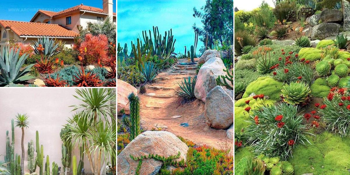 3585274 Desert Landscaping Inspiration