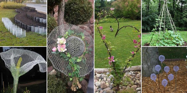 1332904 Wire Garden Ideas