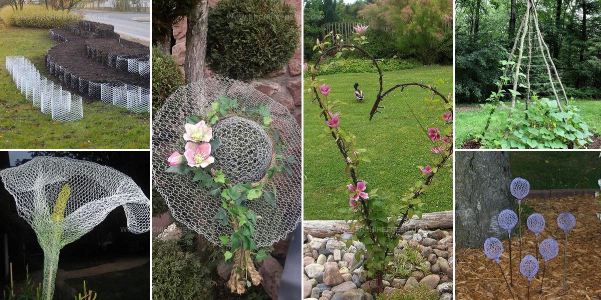 1332904 Wire Garden Ideas