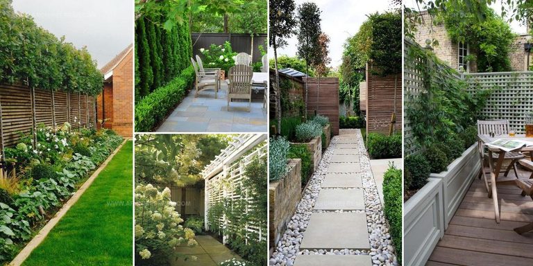 6572473 Garden Screening Ideas