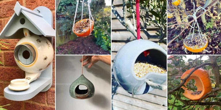 3113814 Garden Bird Feeder Ideas