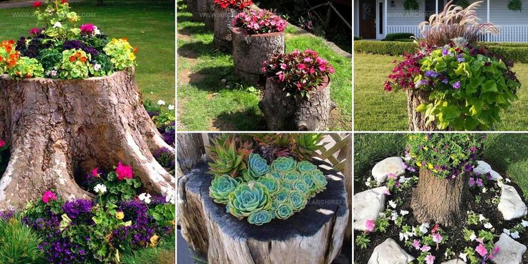 7496969 Tree Stump Planter Ideas