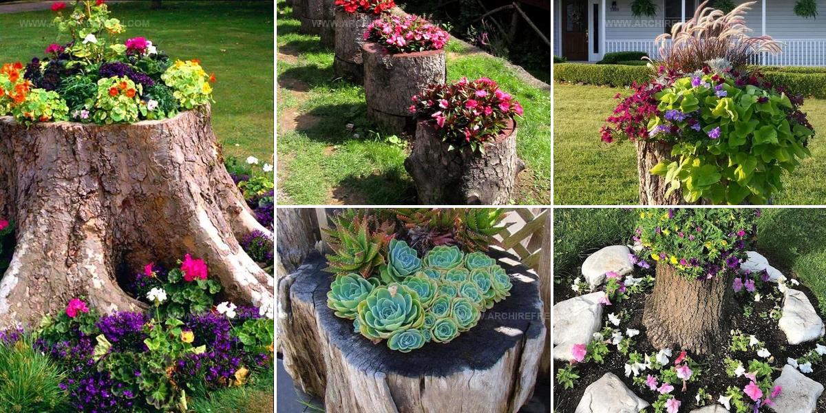 7496969 Tree Stump Planter Ideas