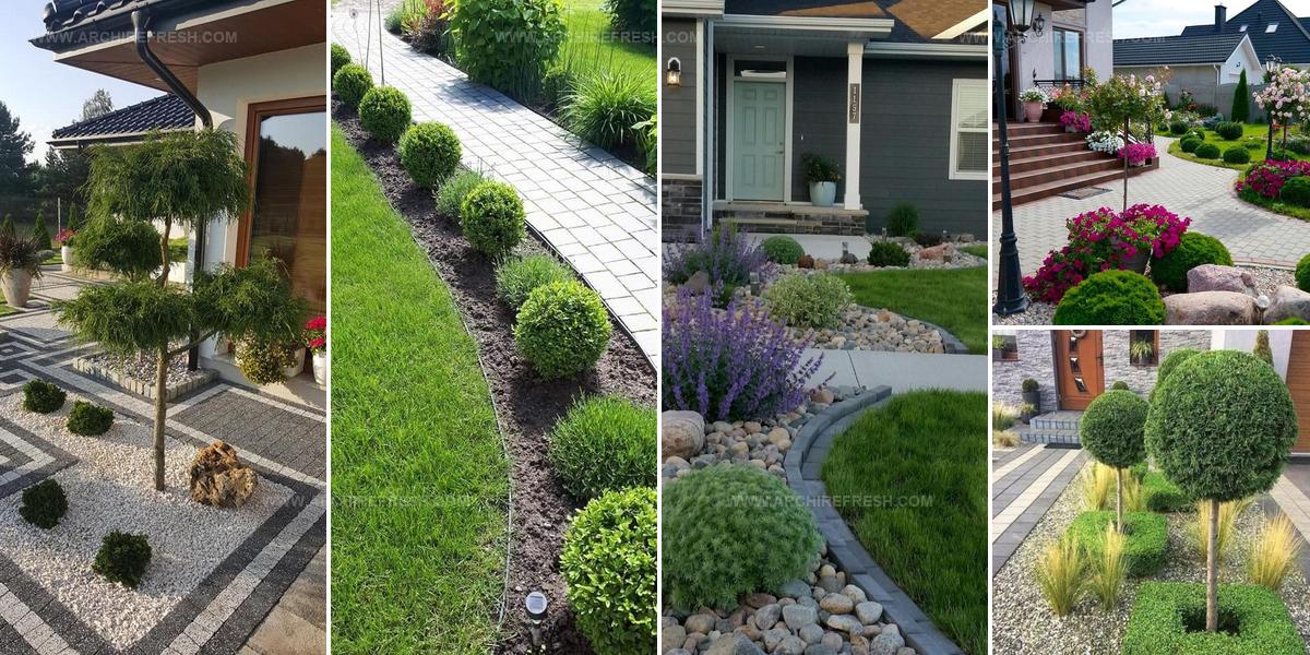 8932486 Front Yard Topiary Ideas
