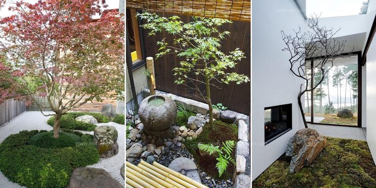 1199829 Japanese Inspired Courtyard Ideas