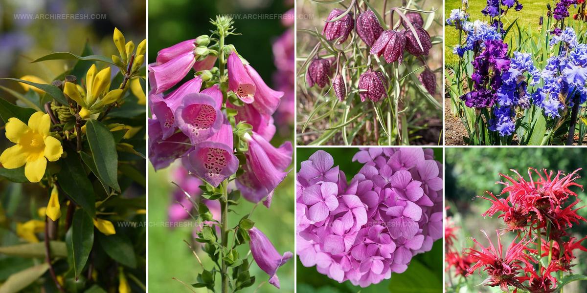 5836944 Colorful Flower Ideas For Gardens