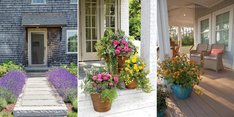 4121288 Patio And Porch Plant Ideas