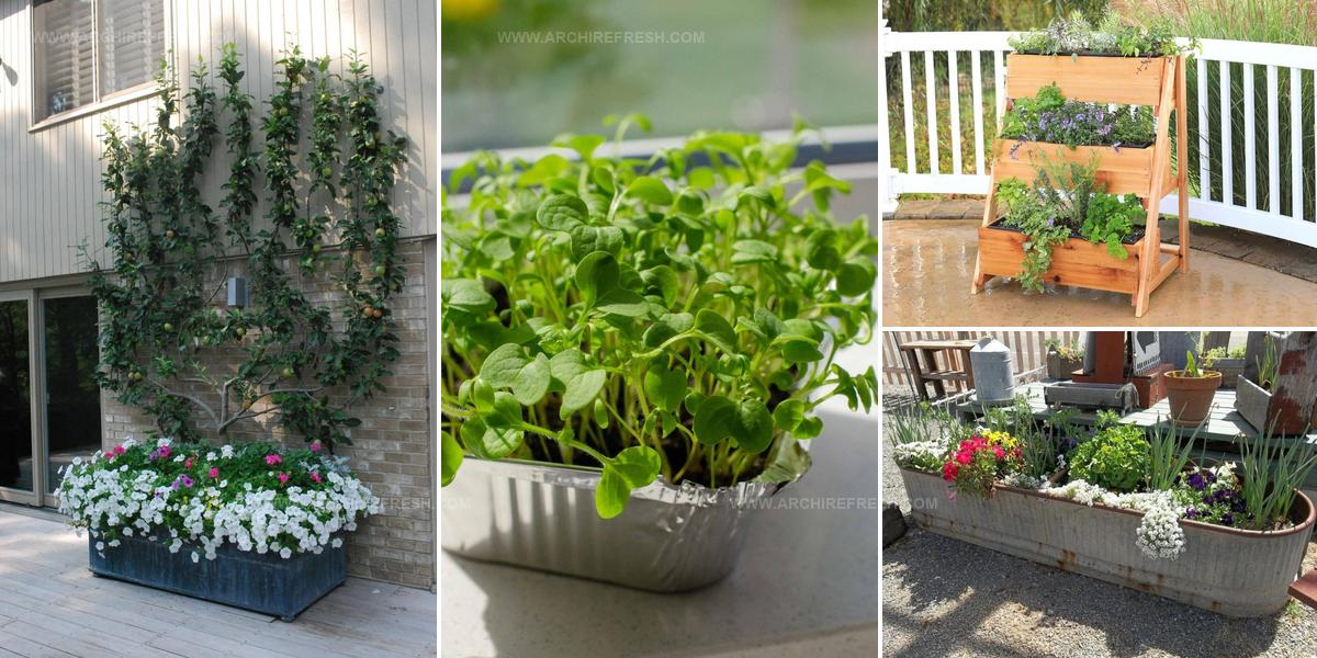 4802592 Limited Space Garden Ideas