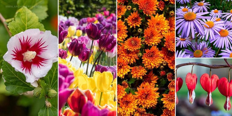 4566434 Popular Flowers For Blooming Gardens