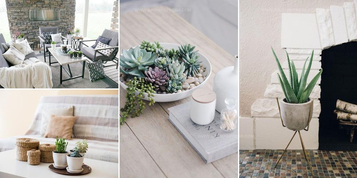 8797953 Succulent Drawing Room Decor Ideas