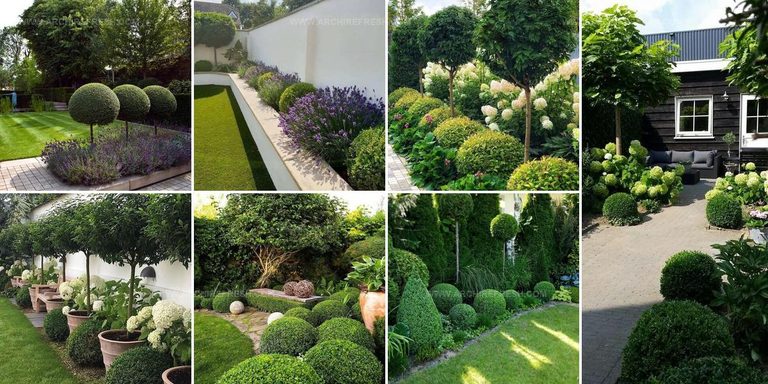 7007010 Topiary Ideas For Gardens