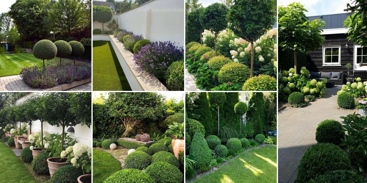 7007010 Topiary Ideas For Gardens