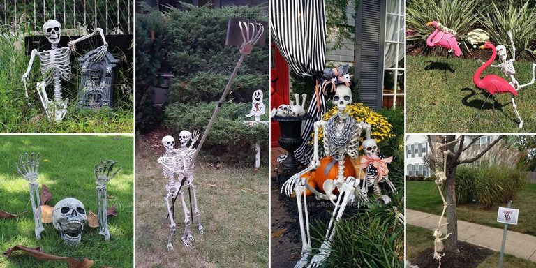 3631456 Yard Halloween Skeleton Display Ideas