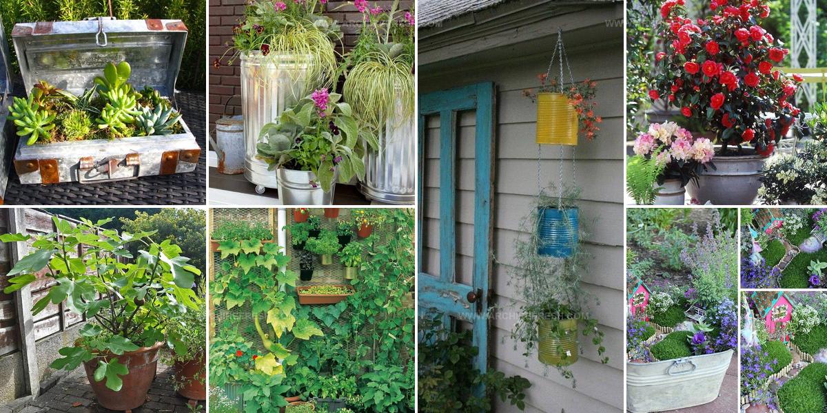 8863374 Container Garden Ideas