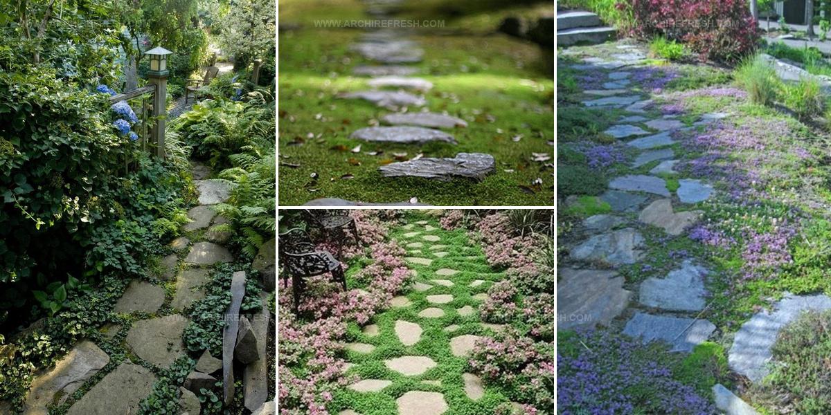 8128827 Garden Stone Path Ideas