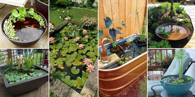 5821351 Outdoor Mini Water Garden Ideas