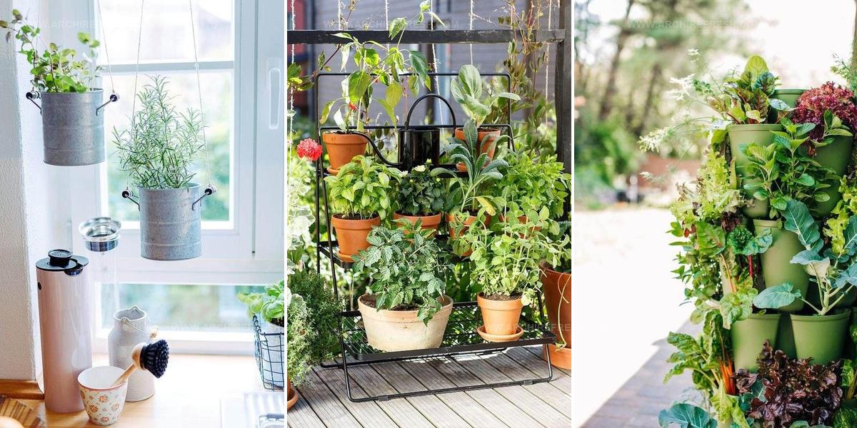 7257447 Urban Garden Ideas For Small Spaces