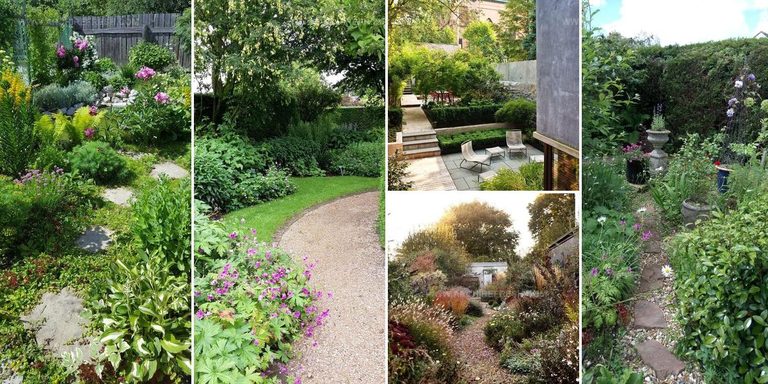2393624 Long Narrow Garden Design Ideas