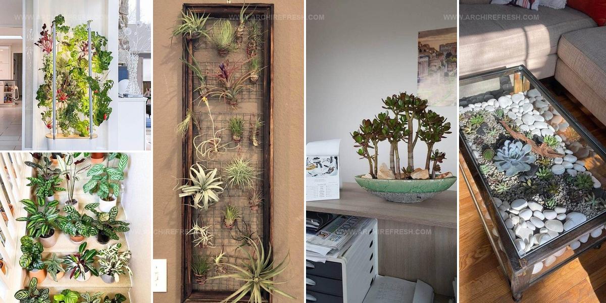 5404621 Garden Ideas For New Plant Parents