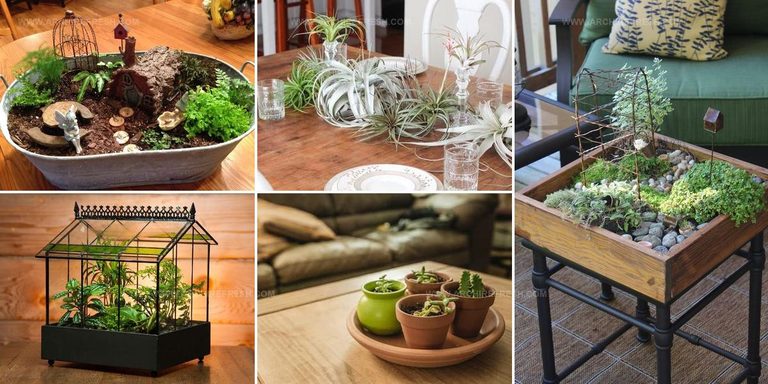 8816295 Tiny Tabletop Garden Ideas