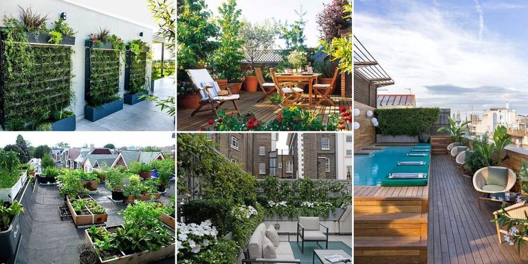 6213180 Rooftop Garden Design Ideas