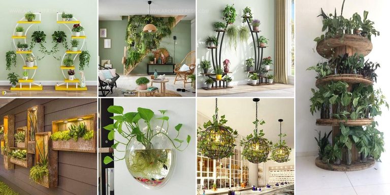 2280118 Plant Display Ideas For Living Spaces