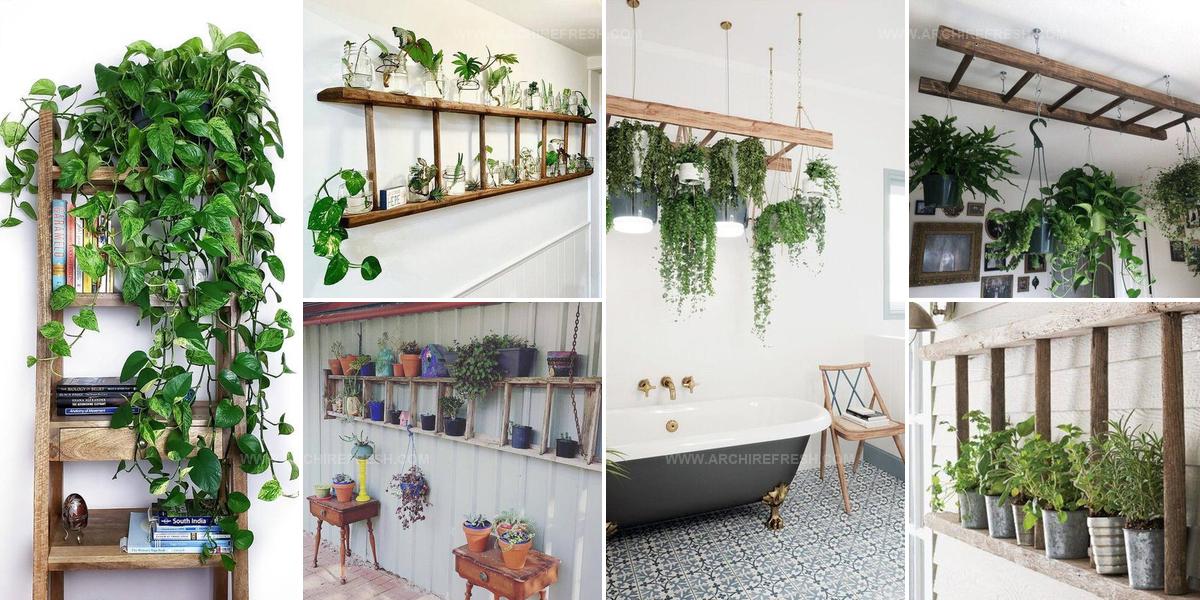 2915992 Ladder Houseplant Display Ideas
